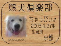 �I�[�i�[�͂Ƃ����� ����ł���